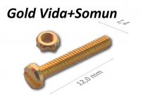 Altın Faset Vida Somun Set 10 mmx1.4 X20