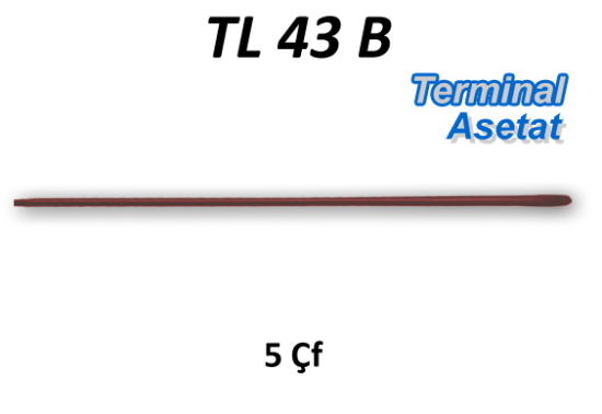 Gözlük Terminal U Kahve TL43BX5
