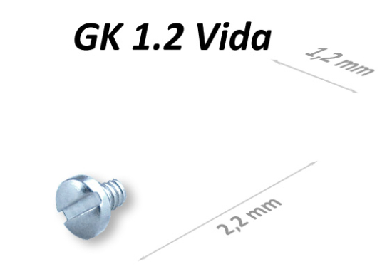 Gözlük Vida Geniş Kafa VG22B12GK X100