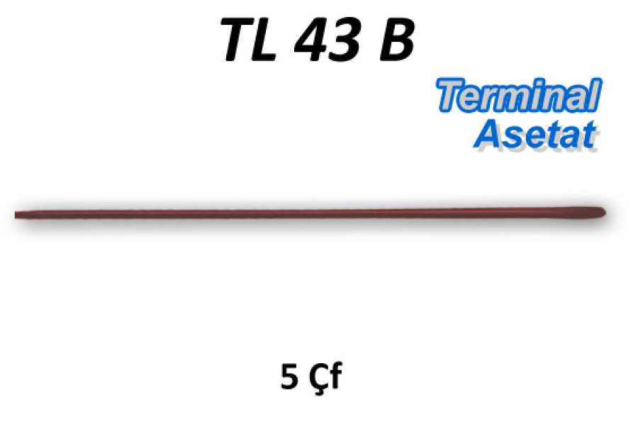 Gözlük Terminal U Kahve TL43BX5