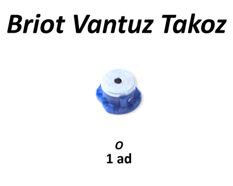 Briot Vantuz Takozu O1